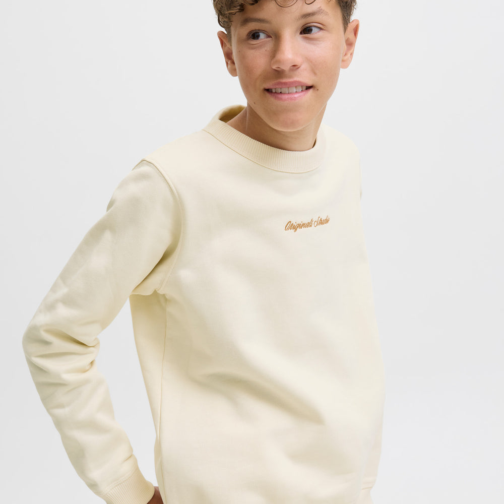 SWEAT,CIRCULAR DE RAPAZ